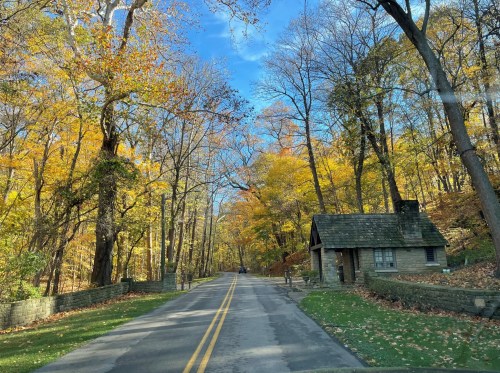 A scenic road lined with colorful autumn trees, leading to a small stone building. Clear blue sky above.