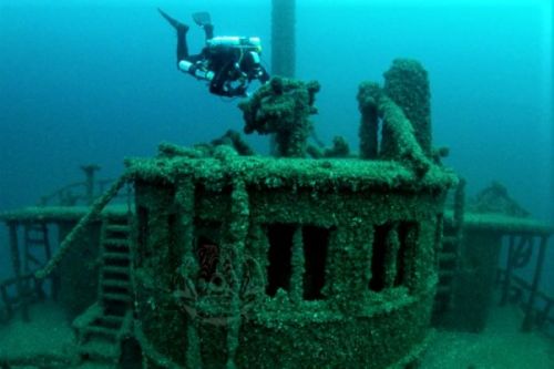 A diver explores a submerged shipwreck covered in marine growth, surrounded by clear blue water.