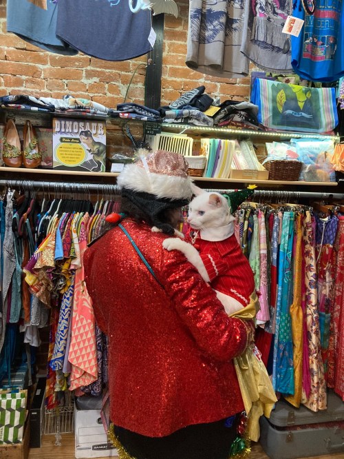 A person in a sparkly red outfit holds a white cat in a festive outfit, surrounded by colorful clothing racks.