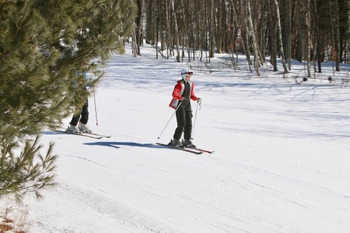 Two skiers navigate a snowy trail surrounded by trees on a sunny day.