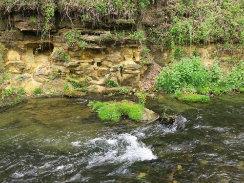 A serene stream flows past a rocky bank, surrounded by lush greenery and moss-covered stones.