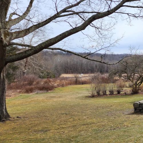 A serene landscape featuring a grassy path, bare trees, and a distant view of a field under a cloudy sky.