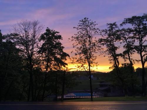 Silhouetted trees against a vibrant sunset sky, with a glimpse of a pool in the background.