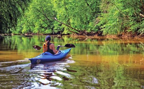 A person paddles a kayak on a calm river surrounded by lush green trees and reflections in the water.