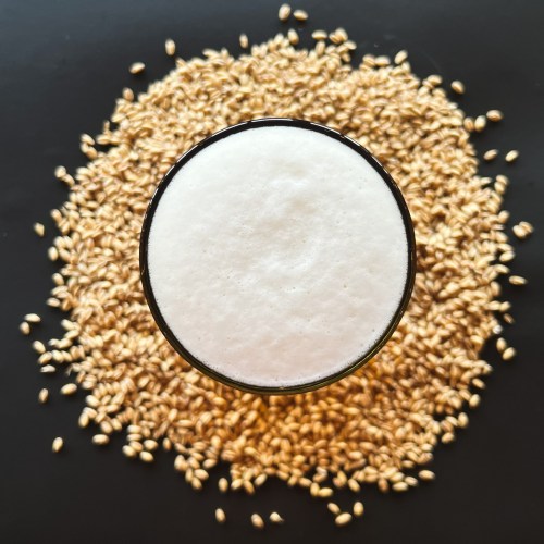 A glass of frothy beer sits atop a bed of golden barley grains.