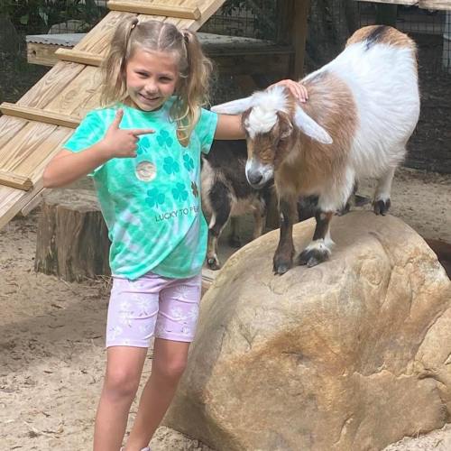 A girl in a green shirt interacts with a goat on a playground, surrounded by rocks and wooden structures.