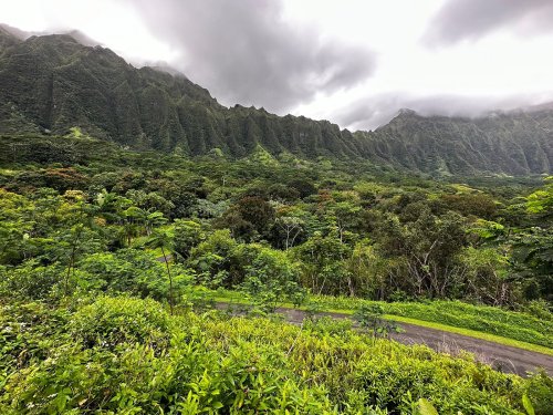 Lush green mountains under a cloudy sky, surrounded by dense vegetation and winding paths.