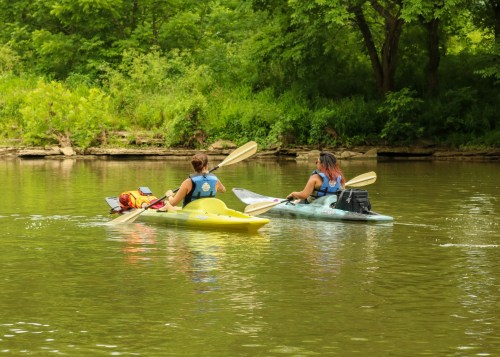 Two people kayaking on a calm river surrounded by lush greenery.