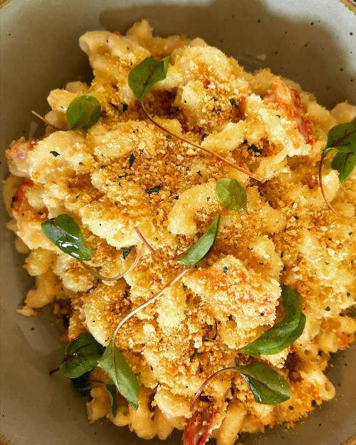 Creamy pasta dish topped with crispy breadcrumbs and fresh herbs, served in a light-colored bowl.