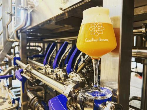 A glass of hazy beer with foam sits on a metal brewing setup, featuring blue piping and the CainsFarm Brewery logo.