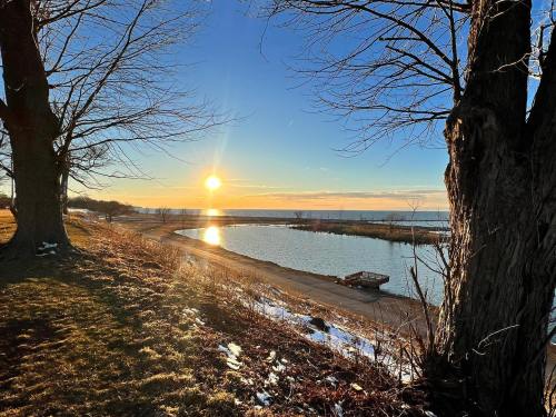 Sunset over a calm lake, with trees framing the view and a sandy shore in the foreground.