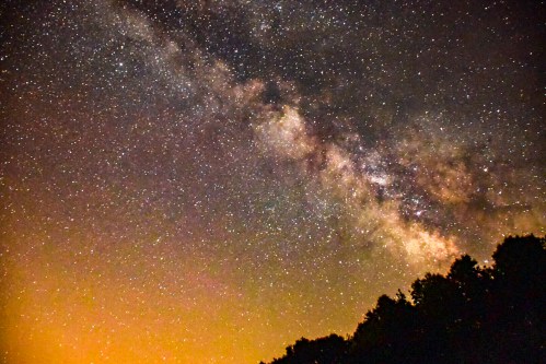 A stunning view of the Milky Way galaxy filled with stars, set against a dark sky and silhouetted trees below.