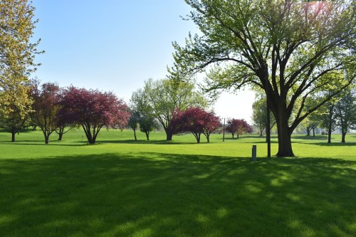 A sunny park scene with lush green grass and trees, some with vibrant red leaves, under a clear blue sky.