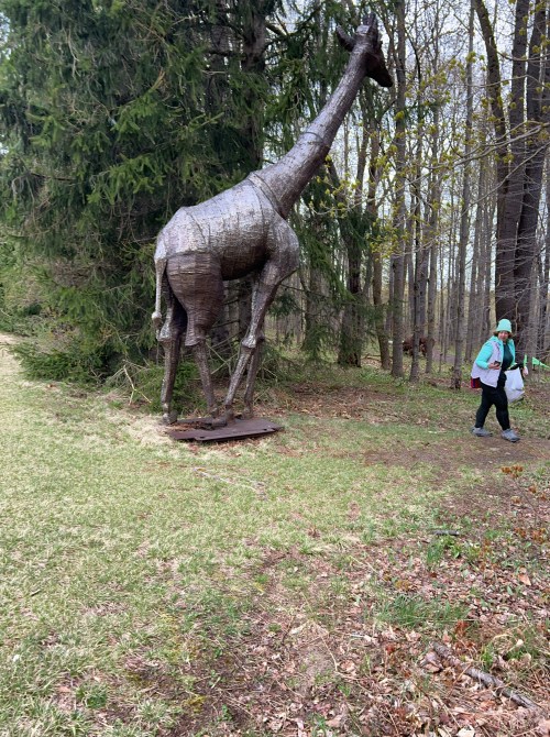 A large wooden giraffe sculpture stands in a forest, with a person walking nearby.