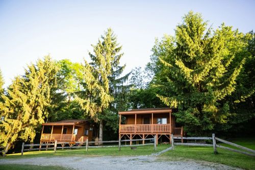 Two wooden cabins with porches surrounded by tall green trees and a gravel path. Bright, sunny day.