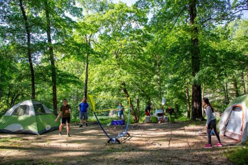 A group of people playing badminton near tents in a lush, green forest setting.