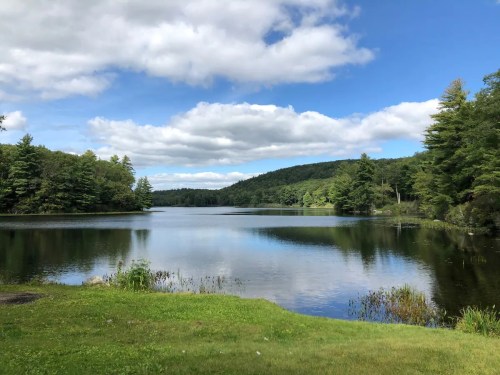 A serene lake surrounded by lush greenery and trees under a partly cloudy blue sky.