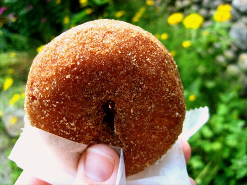 A hand holding a sugar-coated donut with a small hole, set against a blurred background of yellow flowers.