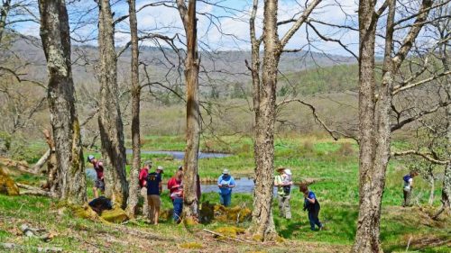 A group of people exploring a lush, green landscape with trees and a pond in the background on a sunny day.