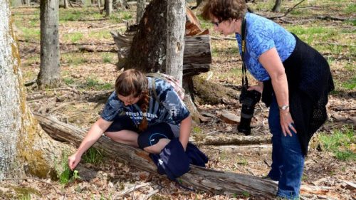 Two people in a forest, one crouching to examine plants while the other observes with a camera.