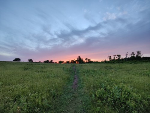 A serene landscape at dusk, featuring a grassy path leading towards a colorful sunset and scattered trees.