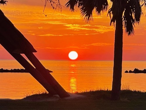 A vibrant sunset over calm waters, with a silhouetted palm tree and a structure in the foreground.