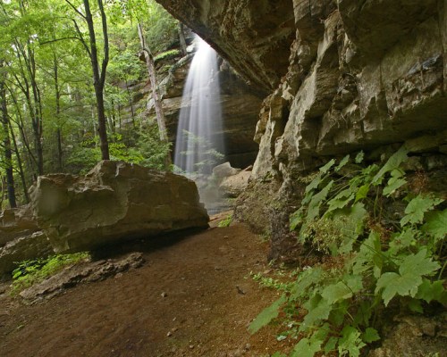A serene forest scene featuring a waterfall cascading from a rocky overhang, surrounded by lush greenery and boulders.