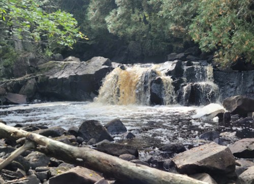A serene waterfall cascades over dark rocks into a calm river, surrounded by lush greenery and fallen branches.