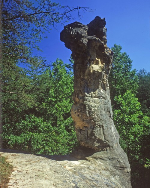 A tall, slender rock formation stands amidst lush green trees under a clear blue sky.
