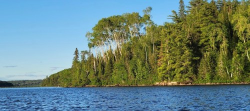Lush green forest lining a calm lake under a clear blue sky, with trees reflecting in the water.