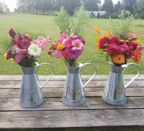 Three metal pitchers filled with colorful flowers sit on a wooden table, surrounded by greenery in the background.