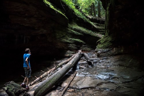 A person stands in a lush, rocky canyon, surrounded by greenery and fallen logs, exploring the natural landscape.
