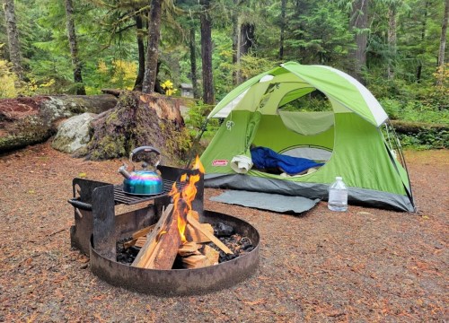A green tent set up in a forest campsite, with a campfire and kettle nearby, surrounded by trees and fallen leaves.