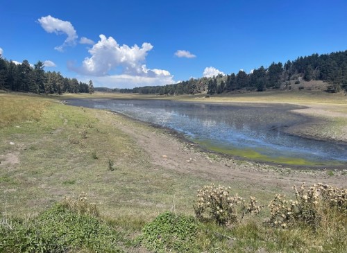 A serene landscape featuring a dry lakebed surrounded by grass and trees under a blue sky with fluffy clouds.