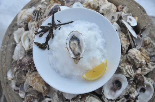 A plate of ice with a fresh oyster, lemon wedge, and seaweed, surrounded by oyster shells.