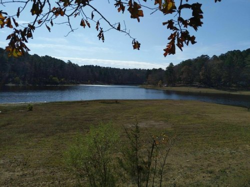 A serene lake surrounded by trees and grassy land under a clear blue sky.