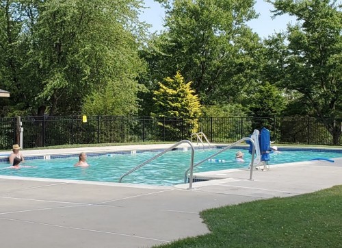 People swimming in a sunny outdoor pool surrounded by trees and a fence.