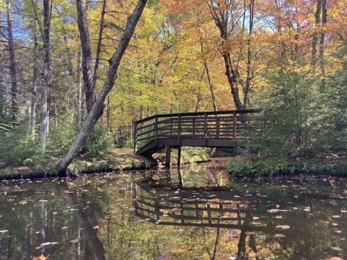 A wooden bridge over a calm pond, surrounded by colorful autumn trees and reflected in the water.