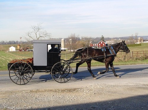 A horse-drawn carriage travels along a rural road, with fields and a farmhouse in the background.