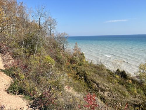 A scenic view of a shoreline with trees and colorful foliage, overlooking calm blue waters under a clear sky.