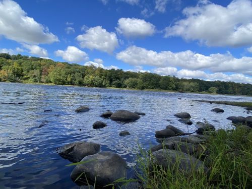 A serene river scene with smooth stones, lush greenery, and fluffy clouds under a bright blue sky.