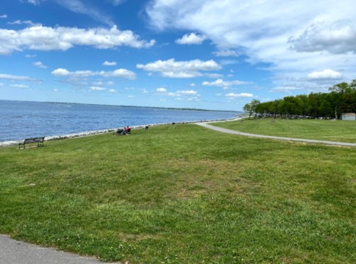 A serene waterfront scene with green grass, a path, and a calm lake under a blue sky with fluffy clouds.