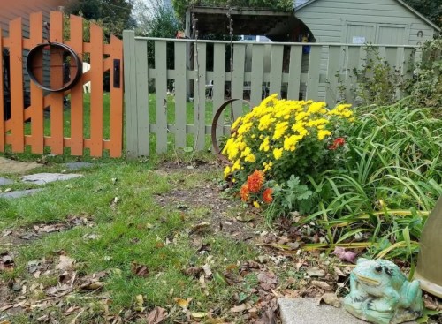 A garden scene featuring colorful flowers, a green fence, and a frog statue, with a shed in the background.
