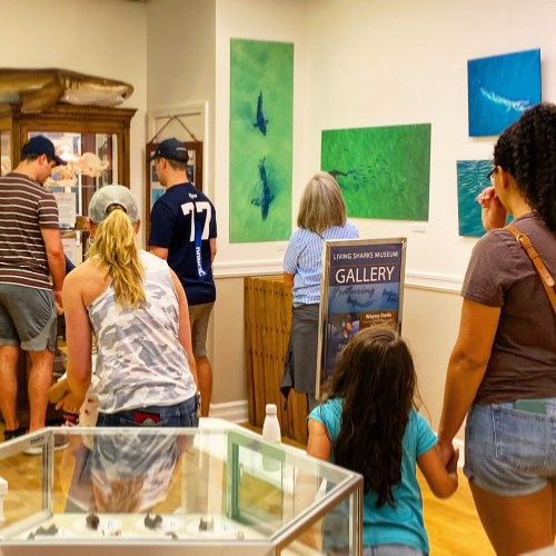 Visitors explore an art gallery at the Living Sharks Museum, featuring ocean-themed paintings and a display case.