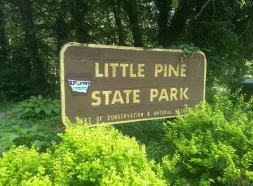 Sign for Little Pine State Park surrounded by greenery, indicating it's part of conservation and natural resources.
