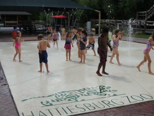 Children playing in a splash pad at Hattiesburg Zoo, enjoying water fountains on a sunny day.