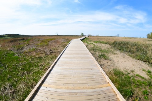 A wooden boardwalk stretches through a grassy landscape under a blue sky with scattered clouds.