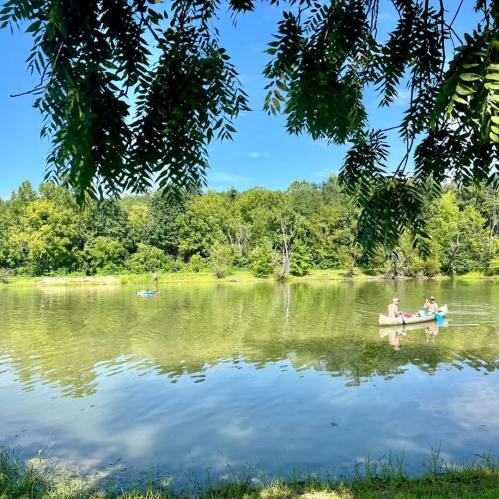 Two people canoeing on a calm river surrounded by lush greenery under a clear blue sky.