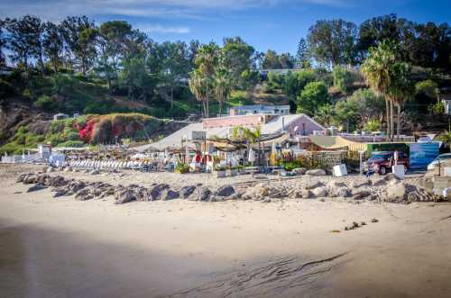 A beachside restaurant with outdoor seating, surrounded by palm trees and rocky shoreline under a clear blue sky.