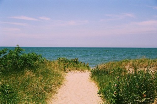 A sandy path leads through green grass to a tranquil blue ocean under a clear sky.